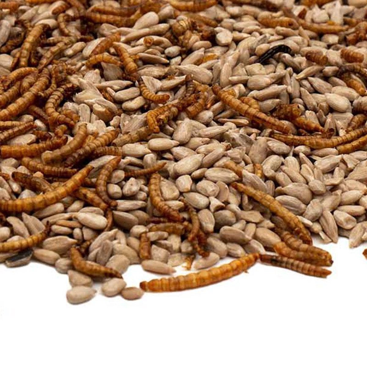 Gepelde zonnebloempitten met Meelwormen - 10 KG