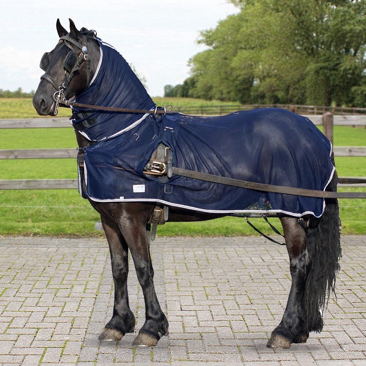 QHP  Tuigvliegendeken+hals Blauw 165