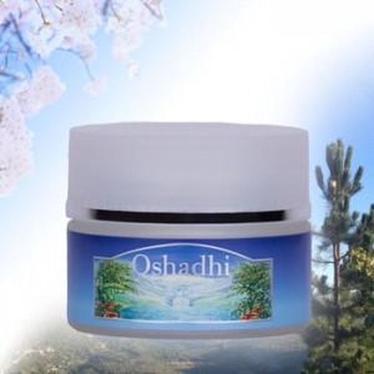 Beauty Balm
