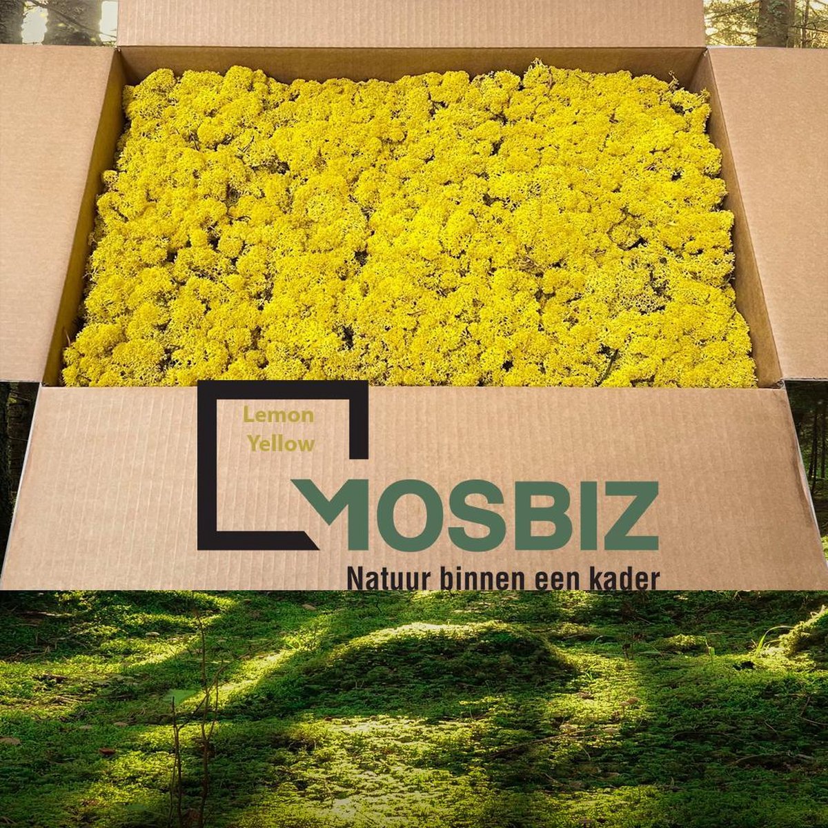 MosBiz Rendiermos Lemon 2 laags (2