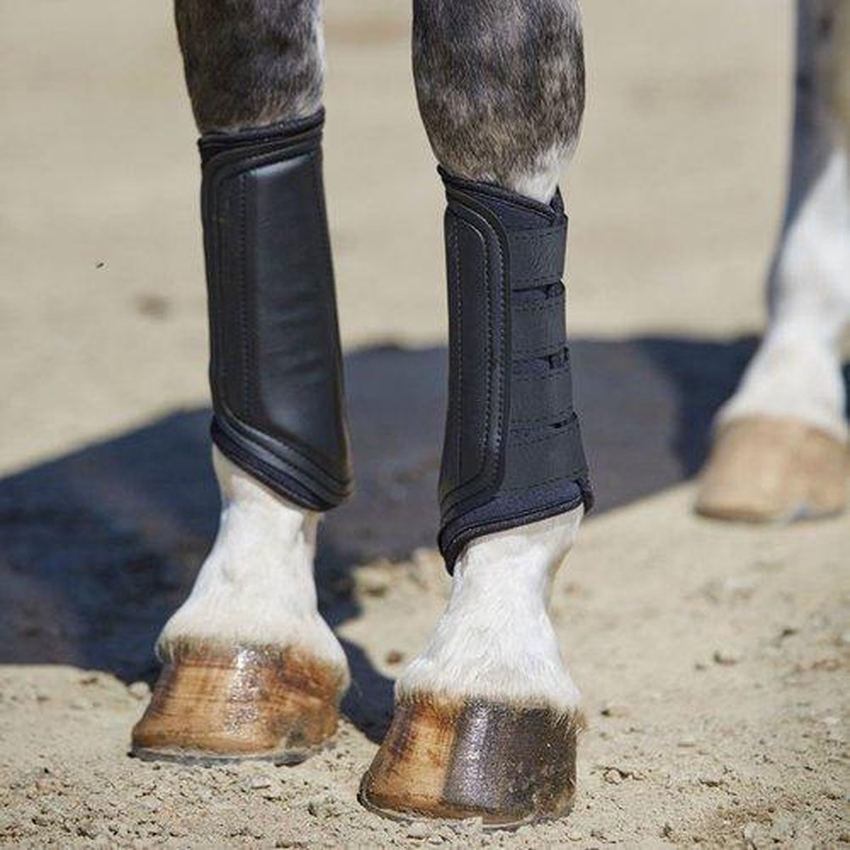 RelaxPets - Weatherbeeta - Brushing Boots - Peesbeschermers - PVC-Stootkussens - Ademend - Royal Blue - Full