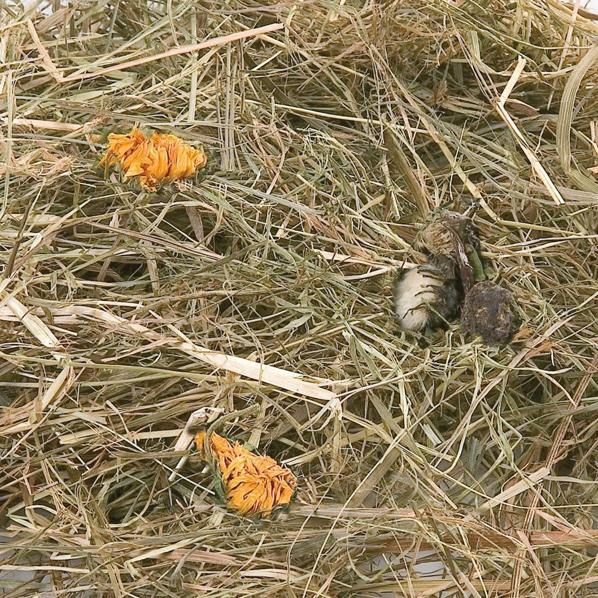 Berghooi met Paardenbloem - 500 gr