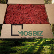 MosBiz Rendiermos Siena 2 laags (2