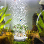 Aquarium Luchtsteen - Zuurstofsteen - Diameter: 4 cm