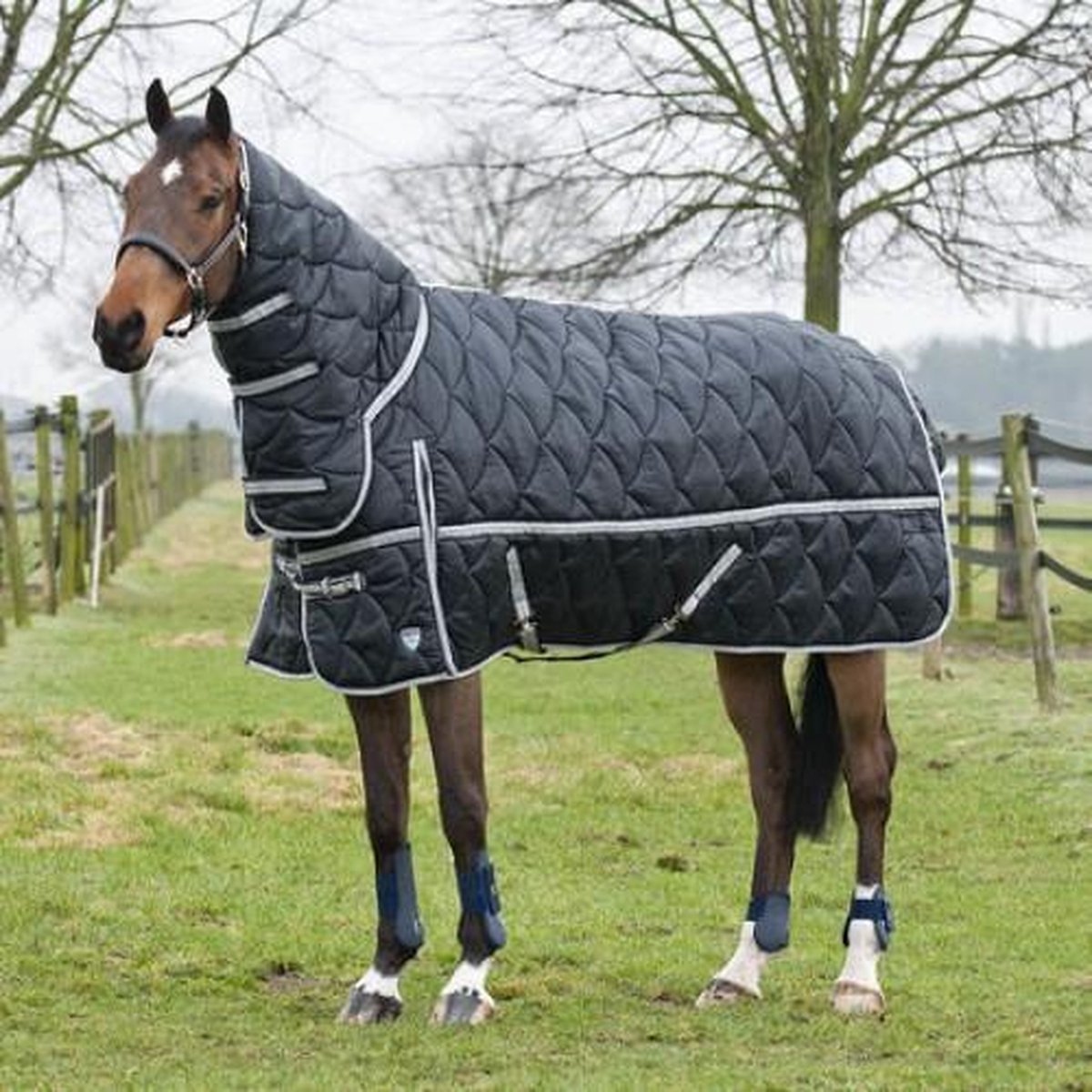 Avalanche Combo Staldeken Zwart 195 Horze