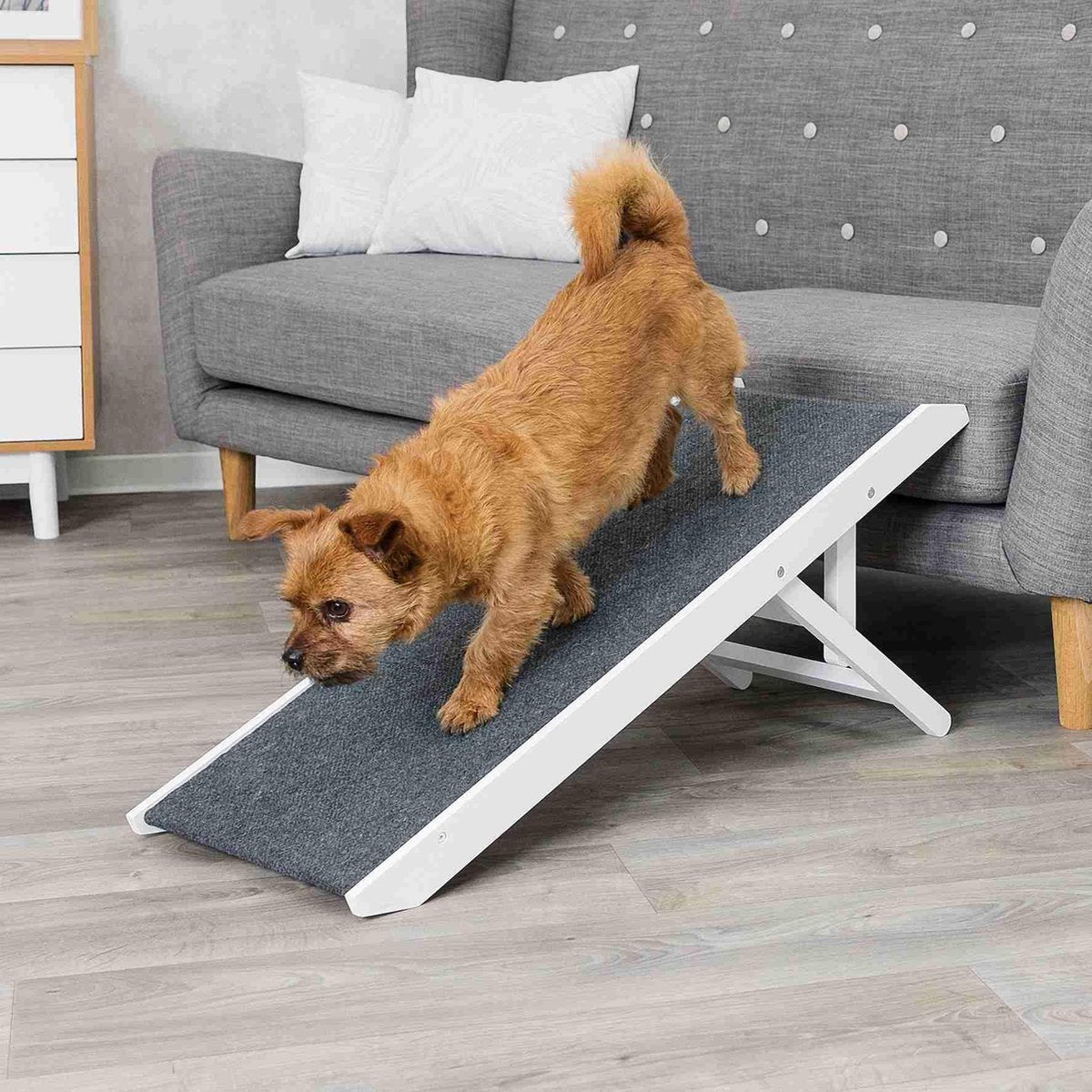 Honden loopplank wit verstelbaar 36x90cm