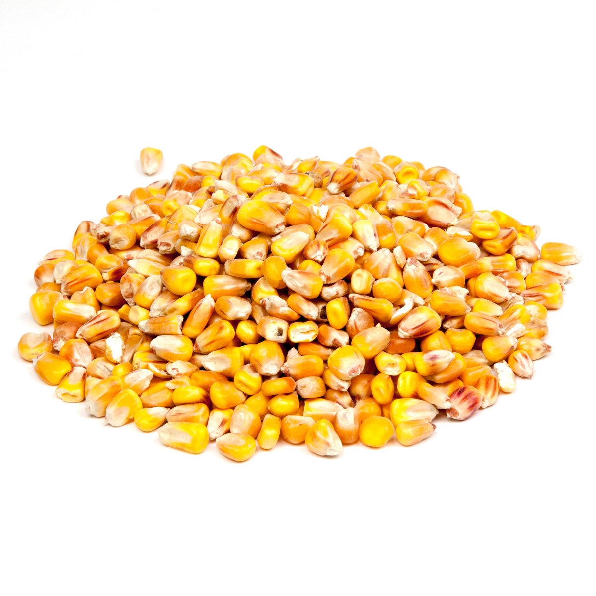 Evezet Mais Heel - Particles - 20 kg - Geel
