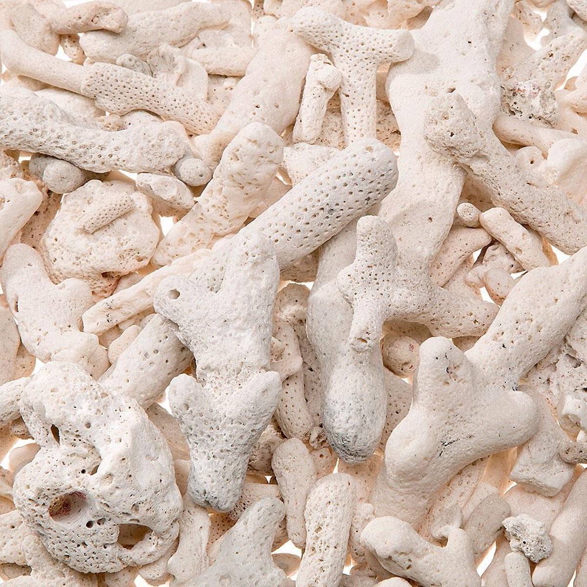 Ferplast blucalcium voor filter