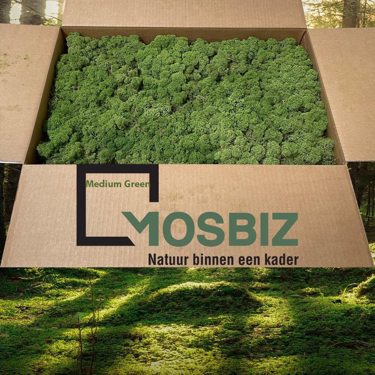 MosBiz Rendiermos Midden groen 2 laags (2