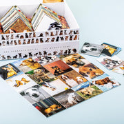 Remember Memory - Honden