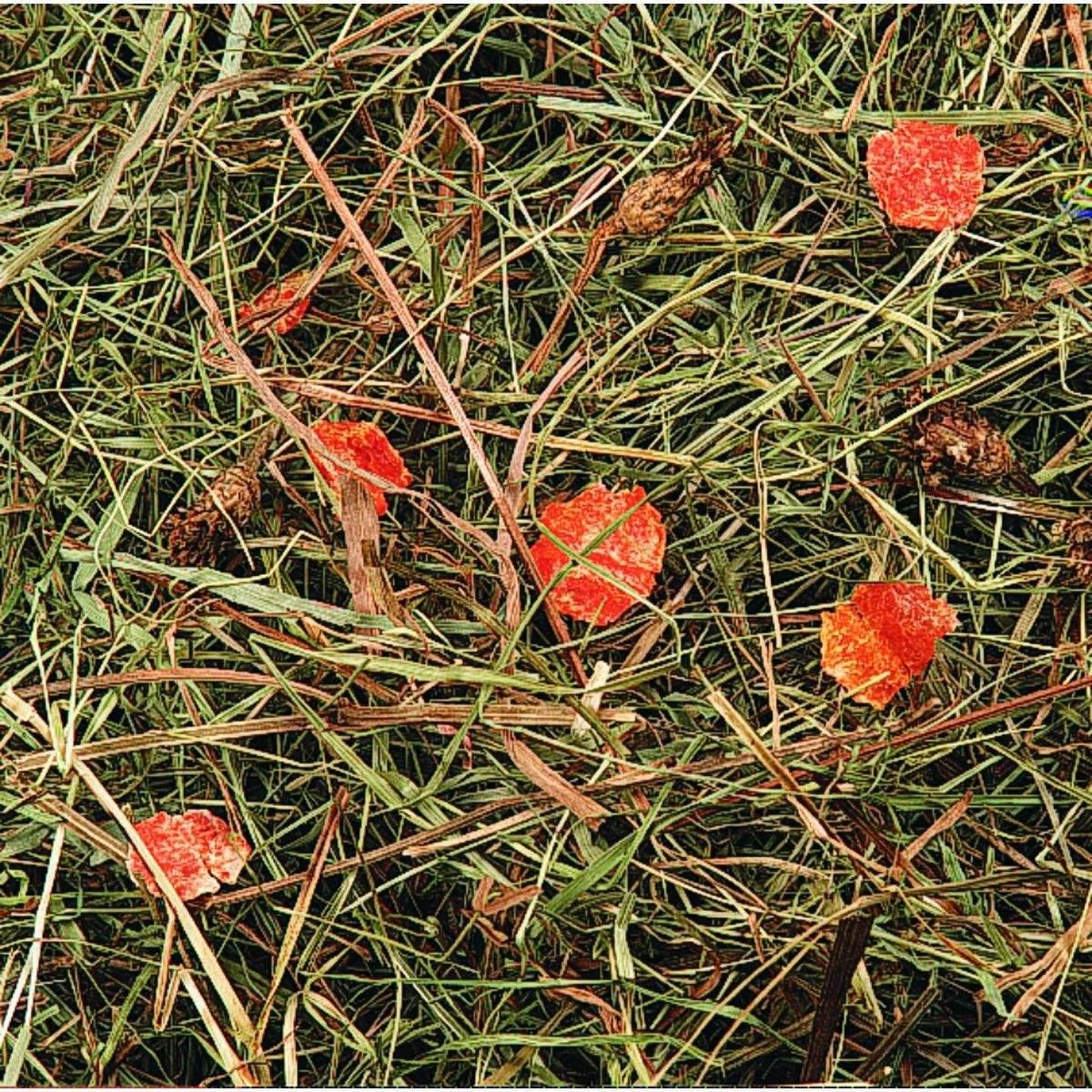 Berghooi met Wortel - 500 gr