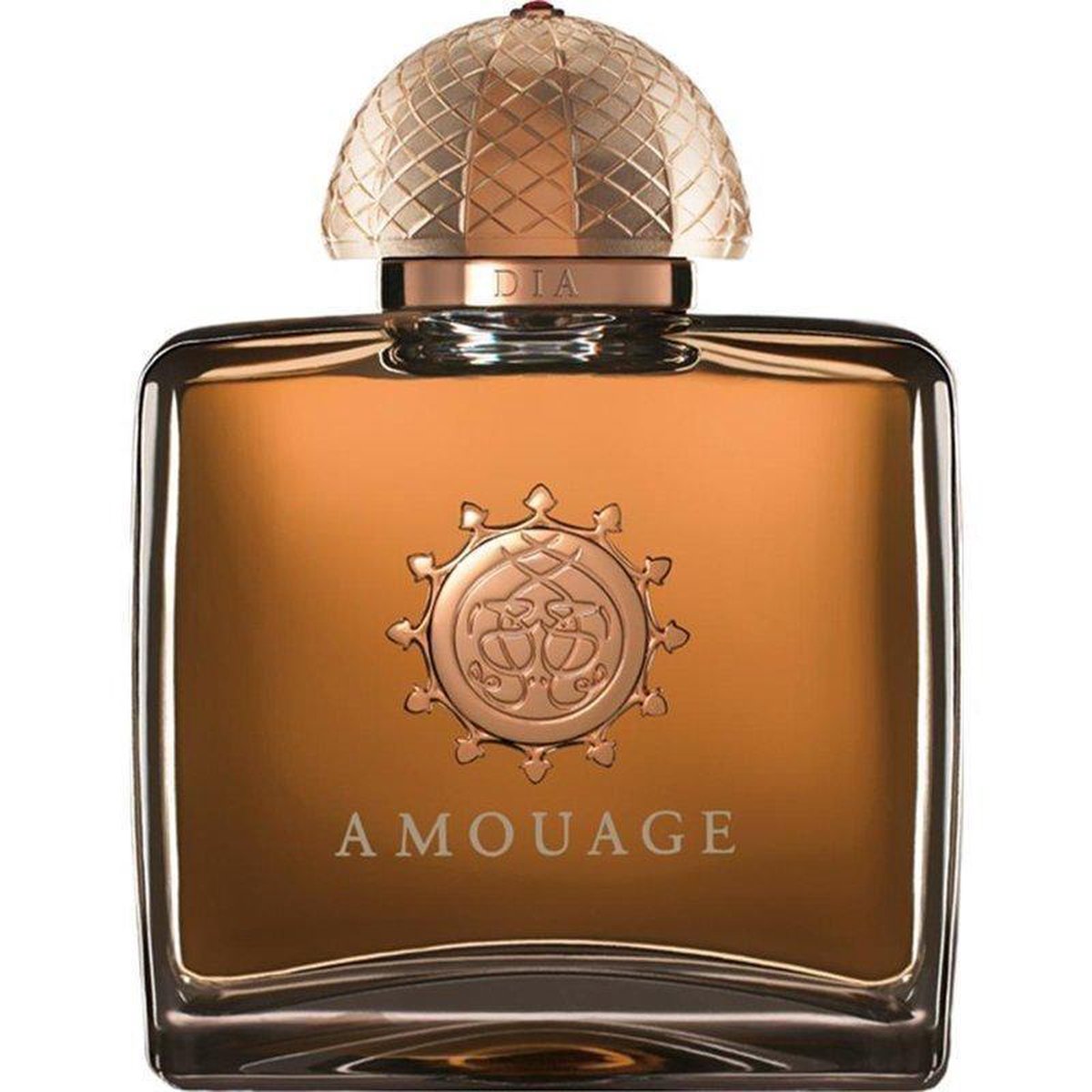 Amouage Dia Woman 100 ml - Eau de Parfum - Damesparfum