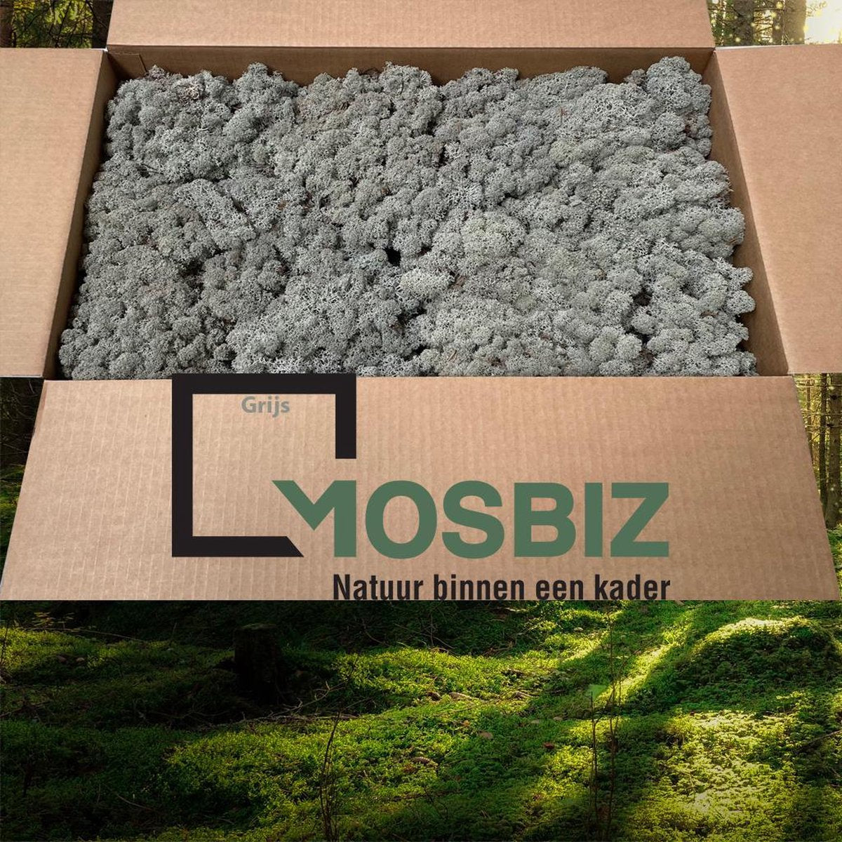 MosBiz Rendiermos Grijs 2 laags (2