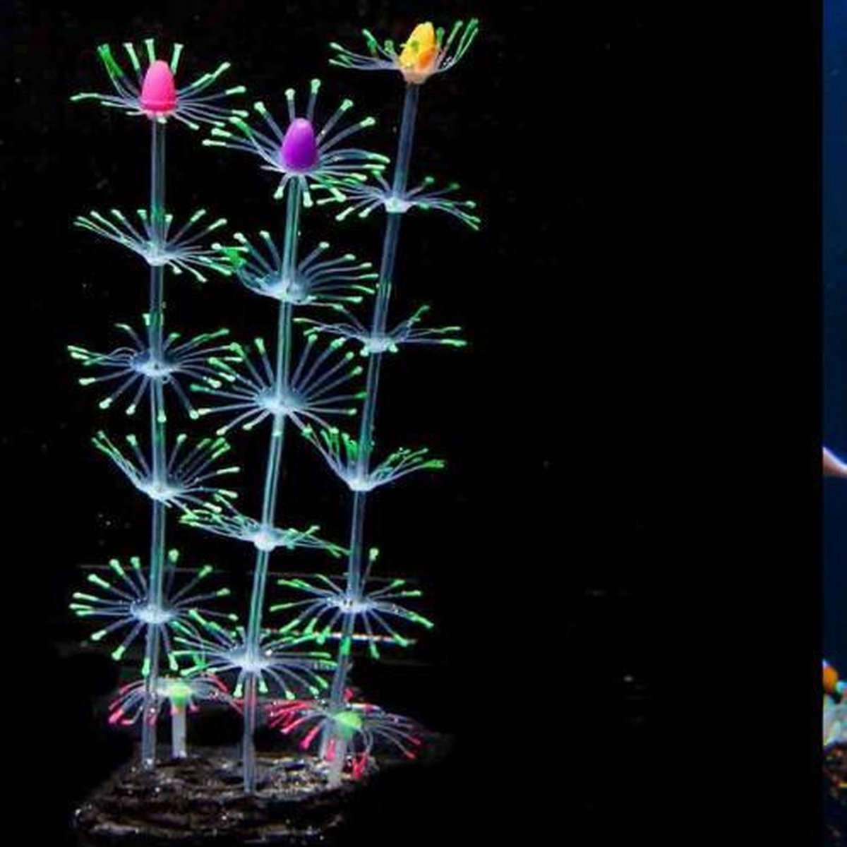 Dierplezier - Aquarium decoratie - Koraal - Kunstplant Aquarium Fluo - Planten voor aquarium - Mooie neon planten –Planten Groen multi bloemen - Aquariumdecoratie - Aquariumversiering - Benodigdheden aquarium – 21 cm x 9cm