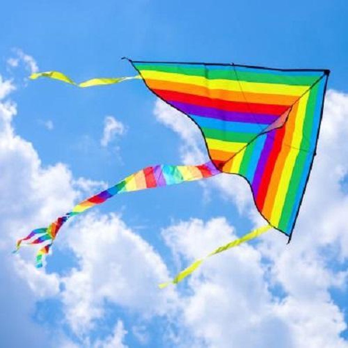 Vlieger (XXL) Regenboog - 170x90x290cm