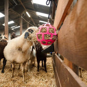 RelaxPets - Hay Slowfeeder - Fun and Flex - 22 cm - Roze - Flexibel - Volledig Veilig