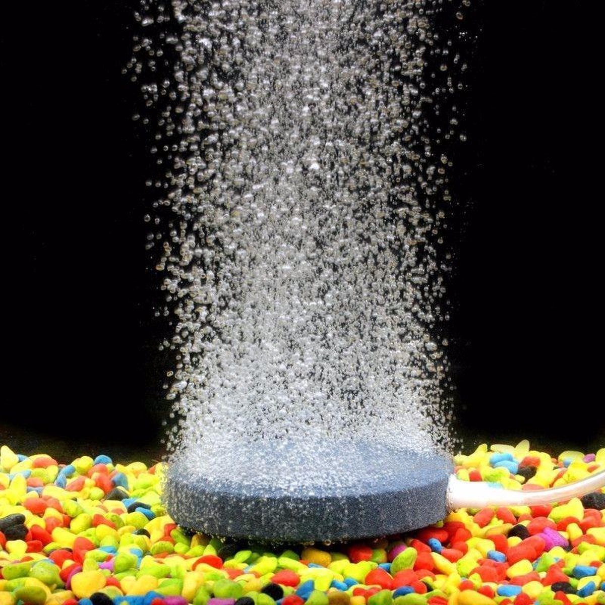 ProAqua - Luchtsteen - Bruissteen - Zuurstofsteen - Geschikt voor elk Aquarium - 40mm - Aquarium filter - Het tropische aquarium - Superfish alternatief