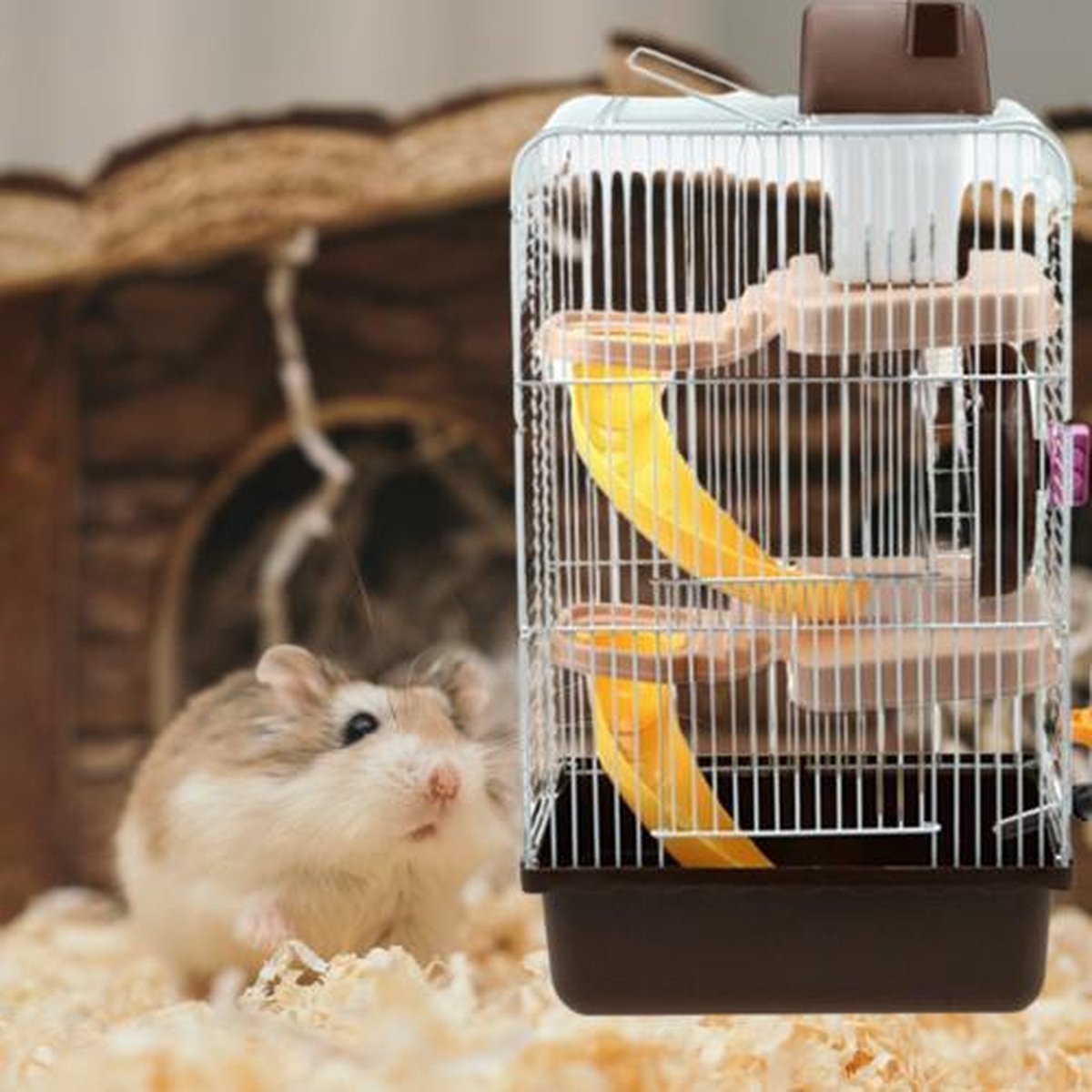 Dierplezier - Hamsterkooi - Knaagdierkooi - Knaagdierverblijf - Caviakooi BRUIN  - Fretkooi - Muiskooi - Knaagdier verblijf - Helemaal met inrichting inbegrepen