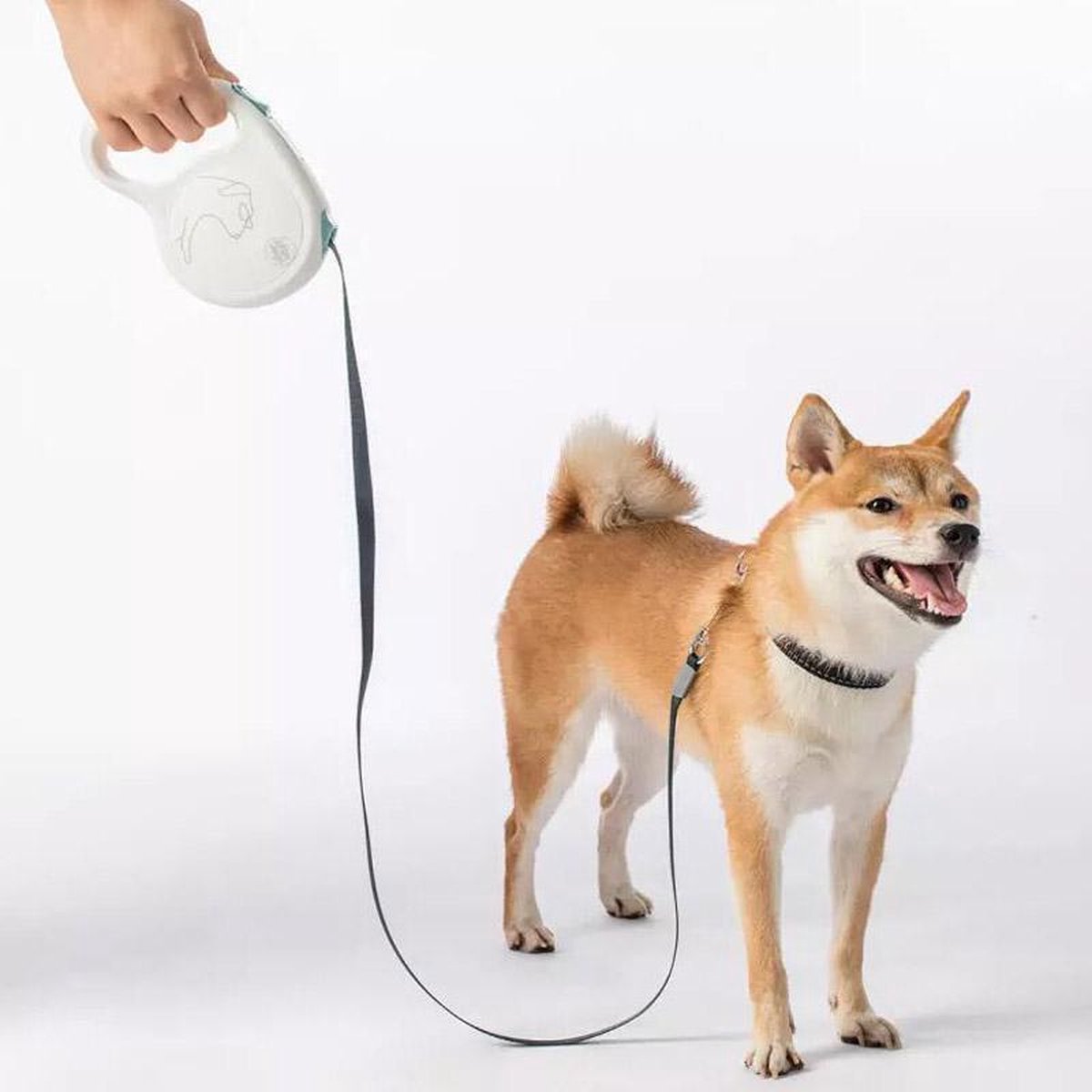 JORDAN & JUDY Extensible Pet Leash/ Dog Leash/ 5M/ 85KG/White