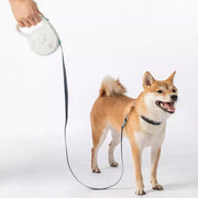 JORDAN & JUDY Extensible Pet Leash/ Dog Leash/ 5M/ 85KG/White