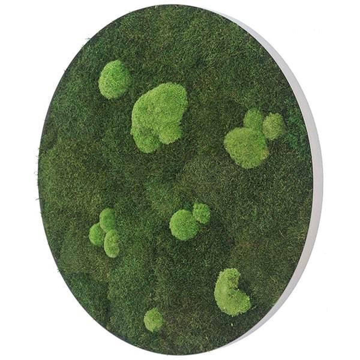 Stylegreen Ronde verticale tuin - Forest & Pole moss - Diameter 54cm