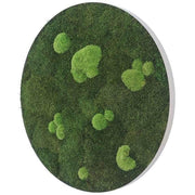 Stylegreen Ronde verticale tuin - Forest & Pole moss - Diameter 54cm