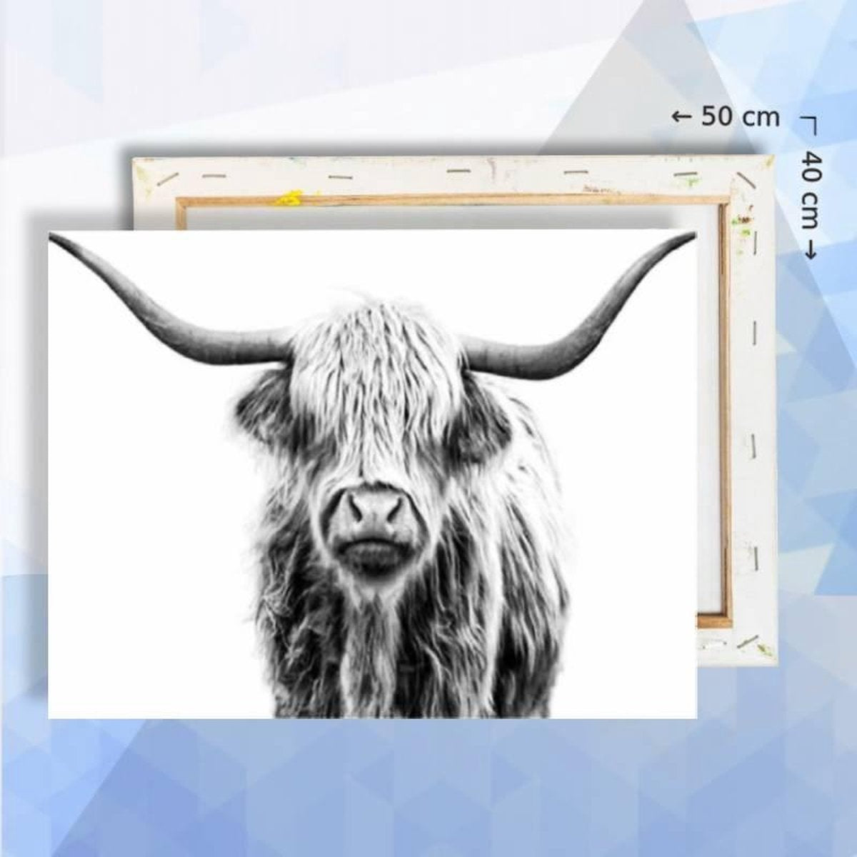 Schilderen op nummer pakket schotse hooglander - 40 x 50 cm  - met frame