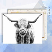 Schilderen op nummer pakket schotse hooglander - 40 x 50 cm  - met frame