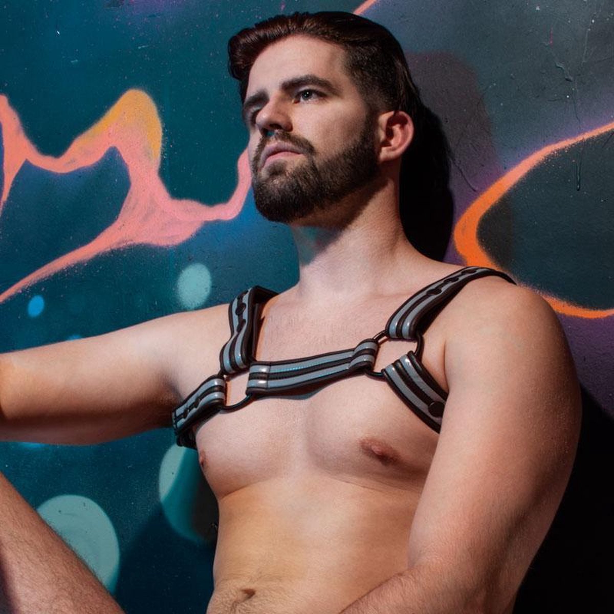 Neoprene bulldog harness grey small