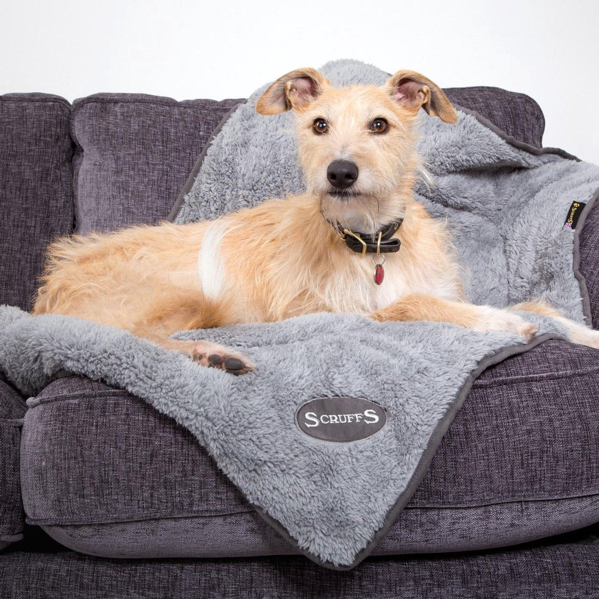 Scruffs Cosy Comforabel hondendeken - Goudkleurig - 110 x 72 cm