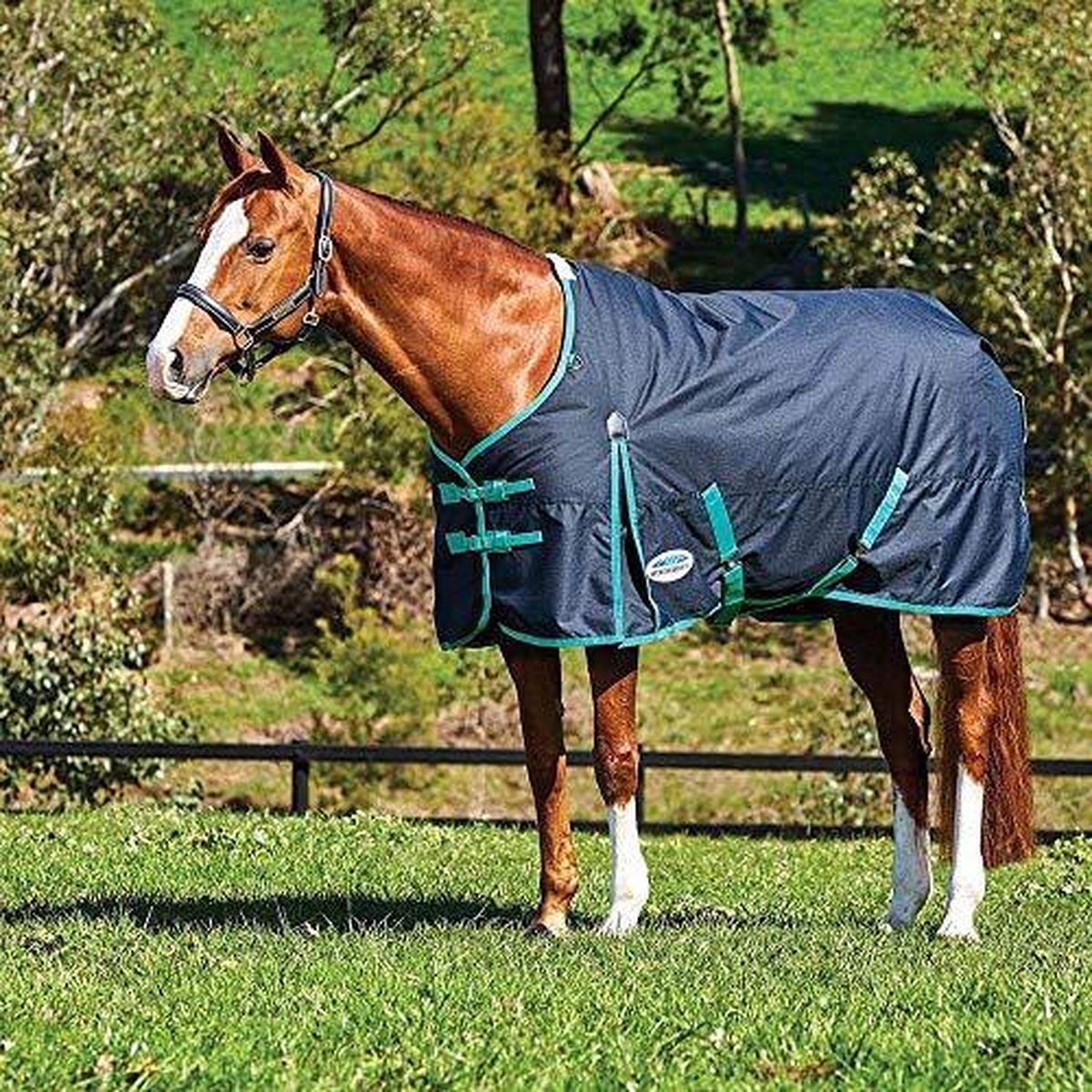 RelaxPets - Weatherbeeta - CoFiTec - Classic - Waterdicht - 220 Gram - 600 Denier - 195 cm