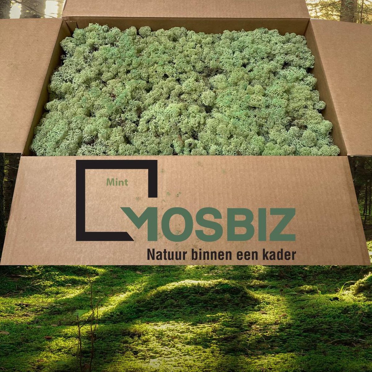MosBiz Rendiermos Mint groen 2 laags (2