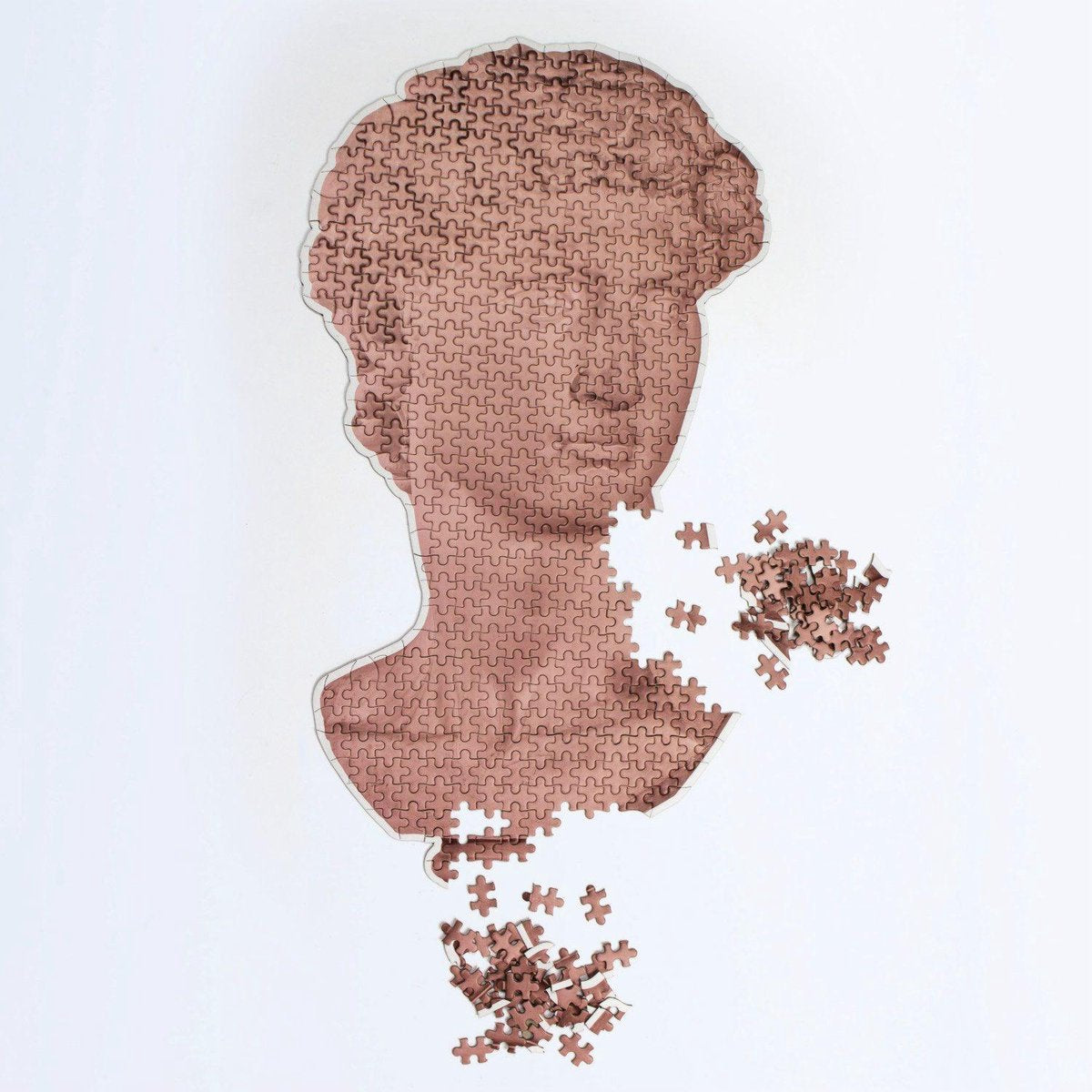 Slow Puzzle - David