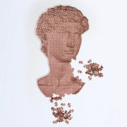 Slow Puzzle - David