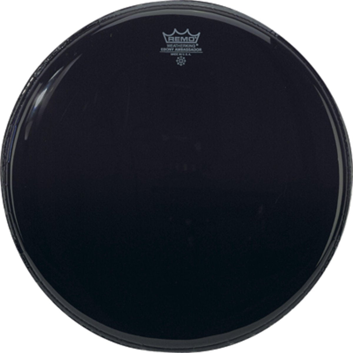Ambasador Ebony 10"