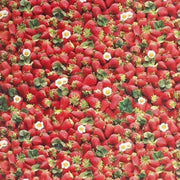 tafelzeil aardbei 140x300