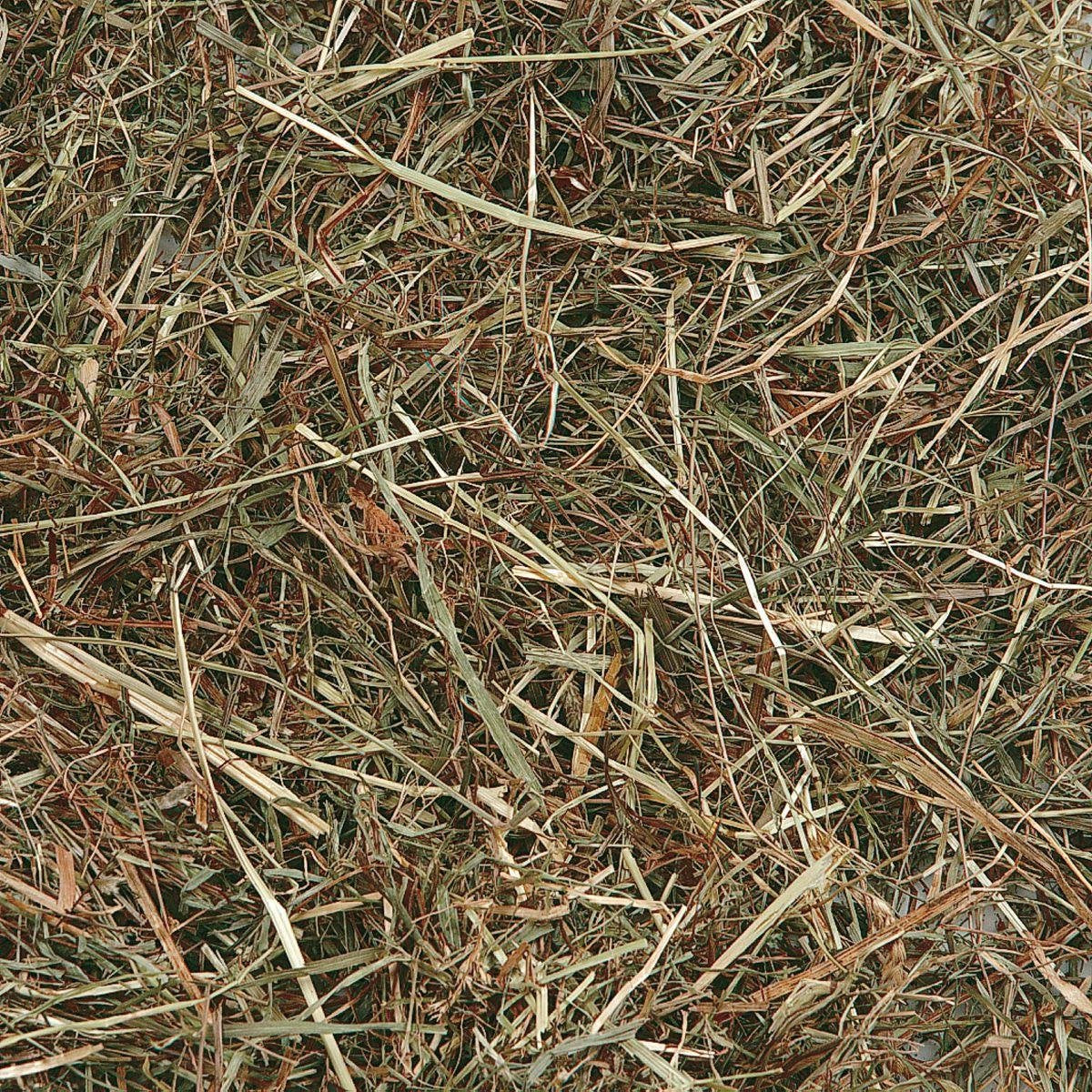Berghooi met Munt - 500 gr