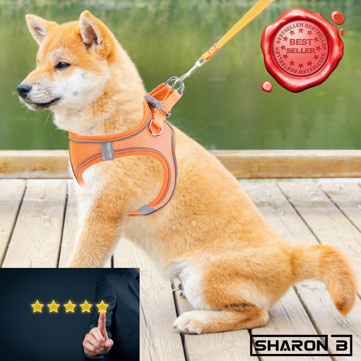 Hondentuigje maat M - Oranje - Voor middelgrote honden - No pull harnas - Anti trek - Reflecterend - Controle en rust bij hond en baasje - 5 jaar garantie