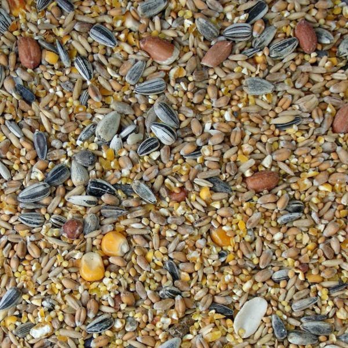 Wintervogelvoeder - 20 kg