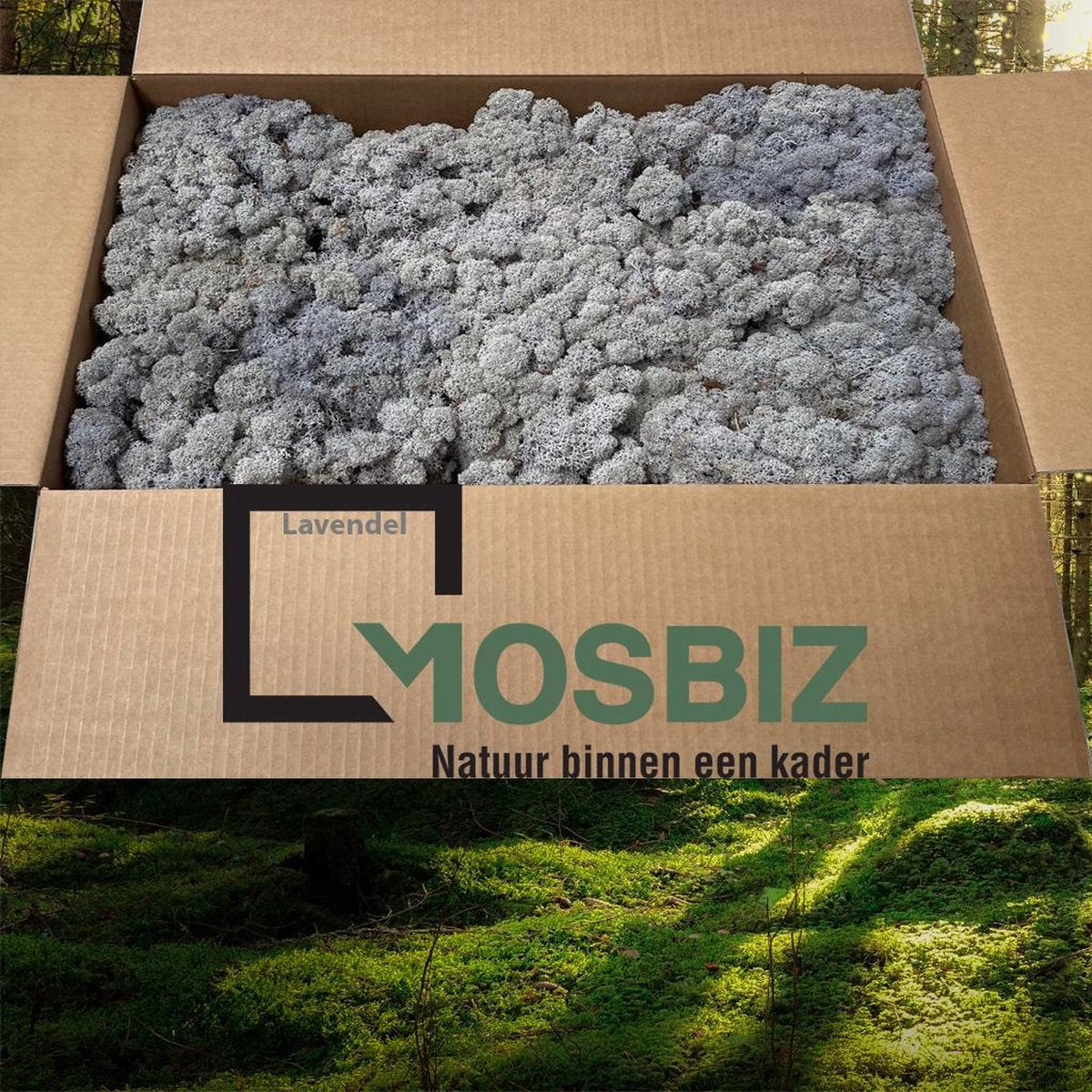 MosBiz Rendiermos Lavendel 2 laags (2