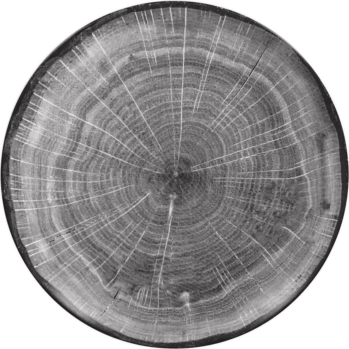 Rak Porcelain Woodart Plat Bord Beukengrijs 21 cm - Set van 12 - Horecakwaliteit Borden