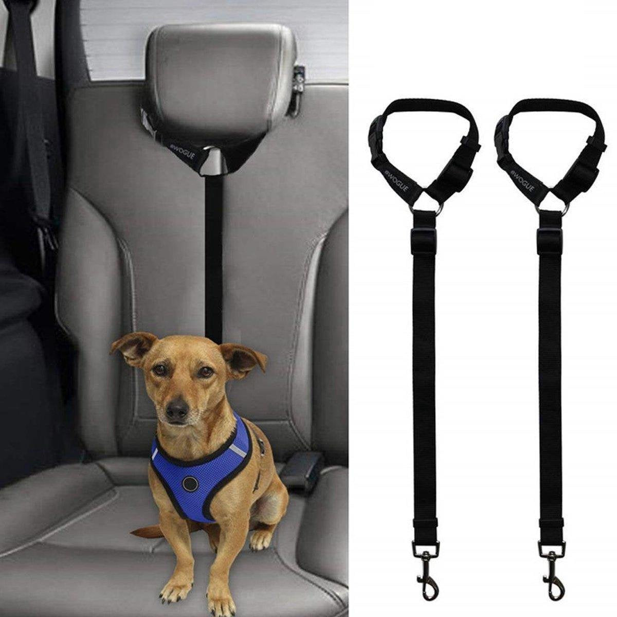 BOTC Hondenriem - auto - voor vakantie en reizen- voor grote en kleine honden - duurzaam touw - stevige grip – zwart - 1