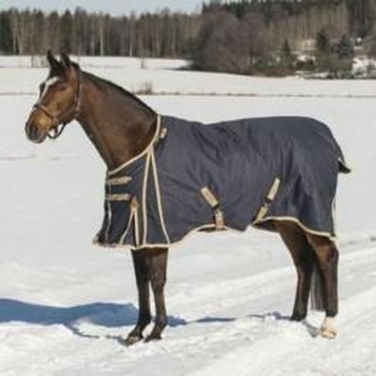 Crescendo Winterdeken 400 grams-Maat 215