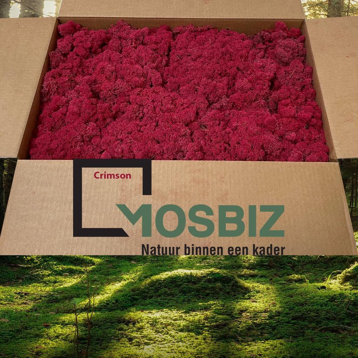 MosBiz Rendiermos Crimson 2 laags (2