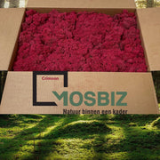MosBiz Rendiermos Crimson 2 laags (2