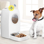 Rexa® Witte Automatische voerbak met LCD scherm | 6L voor katten en honden Voerautomaat met timer | Voor hond en kat | Voederapparaat | Pet feeder | Pet Feeder met timer