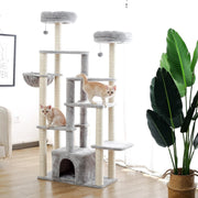 TBG Huisdier Krabpaal Condo Huis Scratcher Krabpaal Klimboom Speelgoed voor Kat Kitten Beschermende Meubels AMT0073GY
