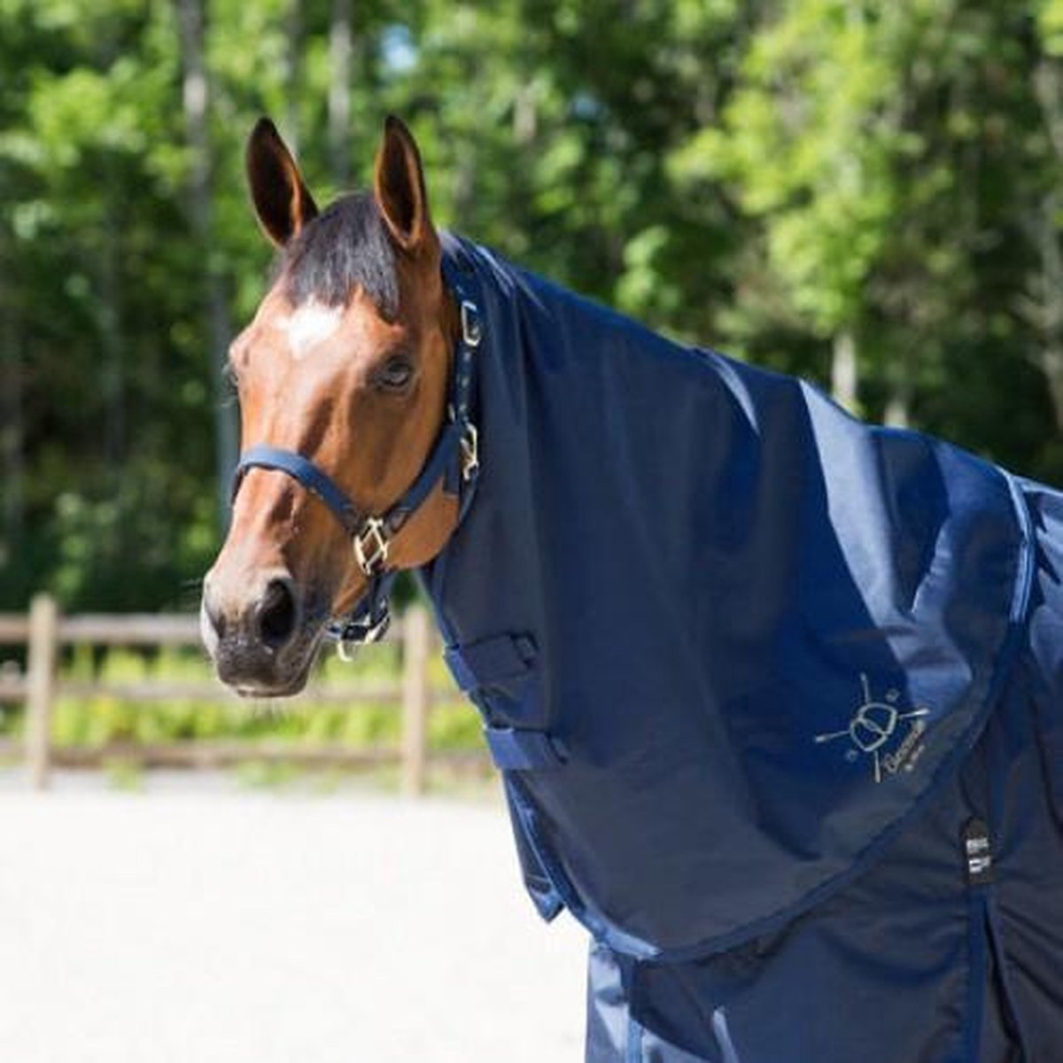 Crescendo Holbrook Regenhals Peacoat Donkerblauw 195 Horze