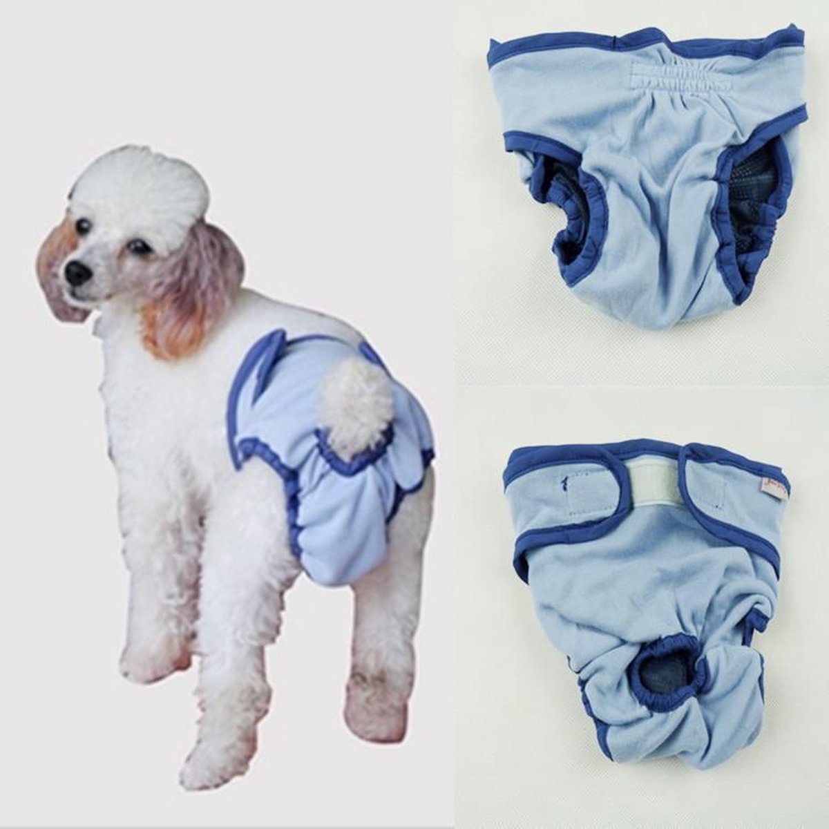 Hondenbroekje - luier voor teef - loopsheid - ongesteldheid - wasbaar - BLUE - LARGE
