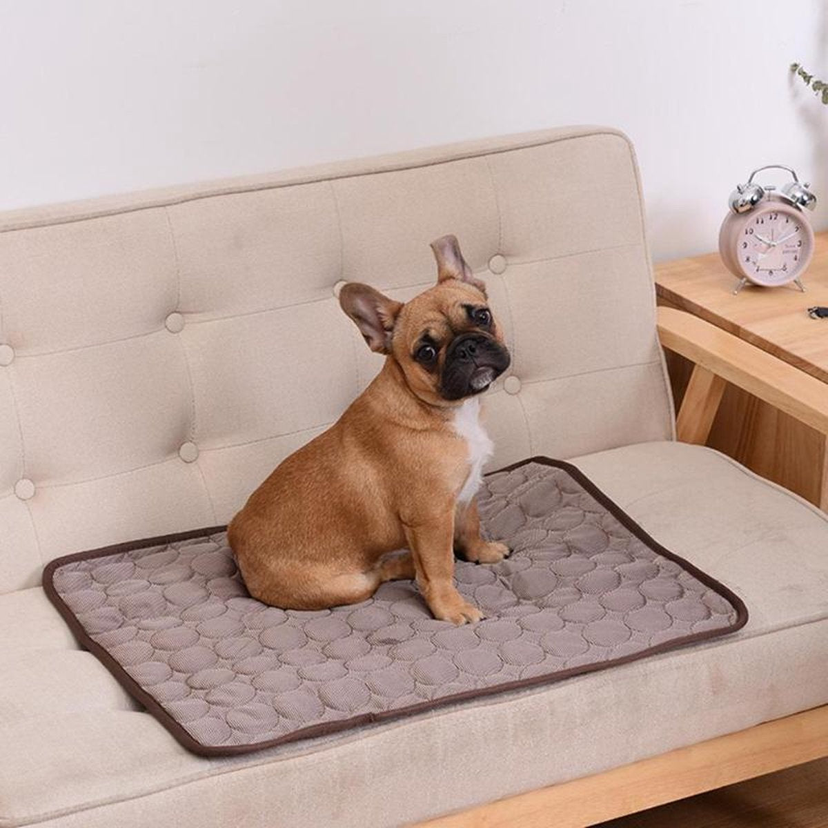 Honden Koelmat - Honden en Katten - Koeldeken - Verkoeling - Dierenmat - Maat L
